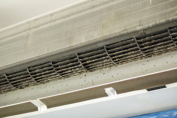Best Ventilation Cleaning Services  in Norwalk, IA